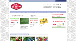 Desktop Screenshot of brusvyana.com.ua