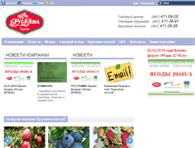 Tablet Screenshot of brusvyana.com.ua